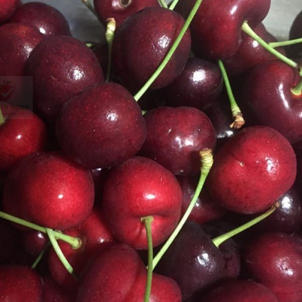 Cherry-my01